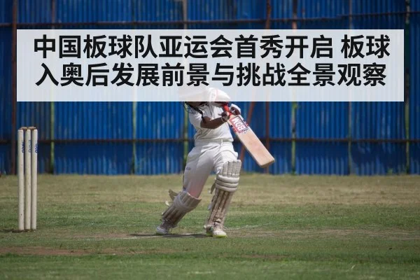 cricket match action